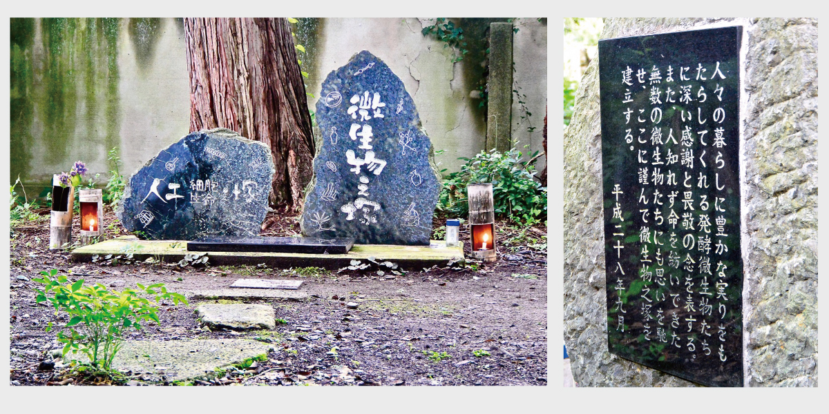 【写真】写真2　酒蔵跡の裏庭に建てられた塚と右側の「微生物之塚」の裏に彫られた由緒