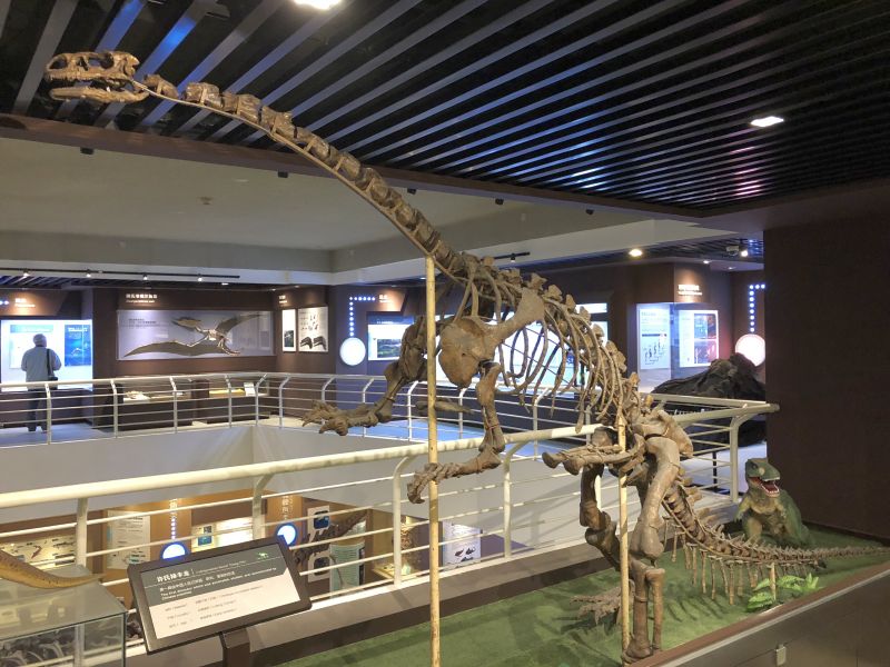 ルーフェンゴサウルス