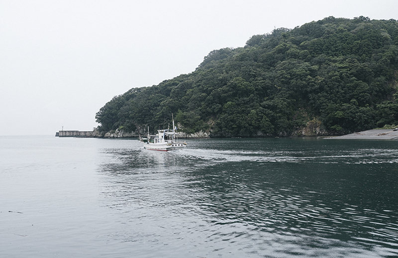海洋資源を取り戻し自然も人も守りたい…徳島の人々の循環する暮らし