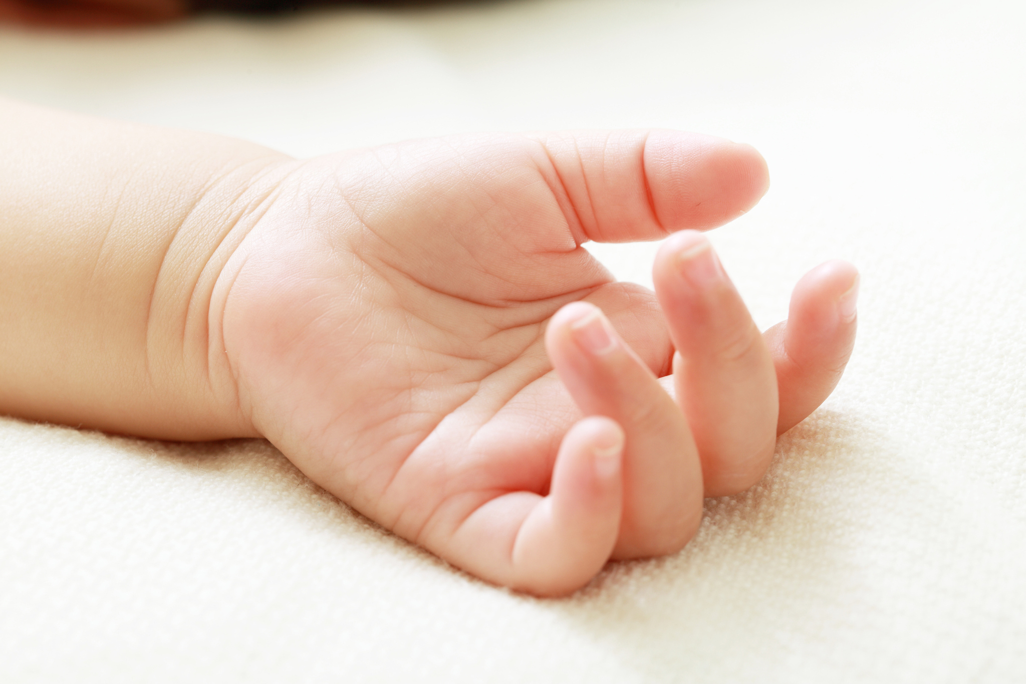 【写真】赤ちゃんの手