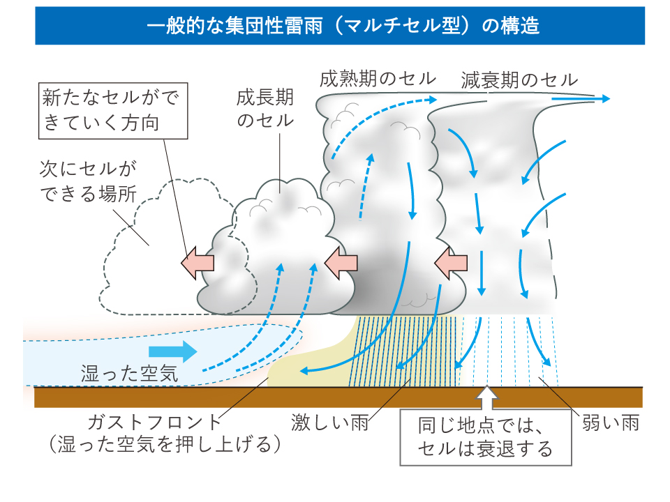 【図】一般的な集団性雷雨（マルチセル型）の構造