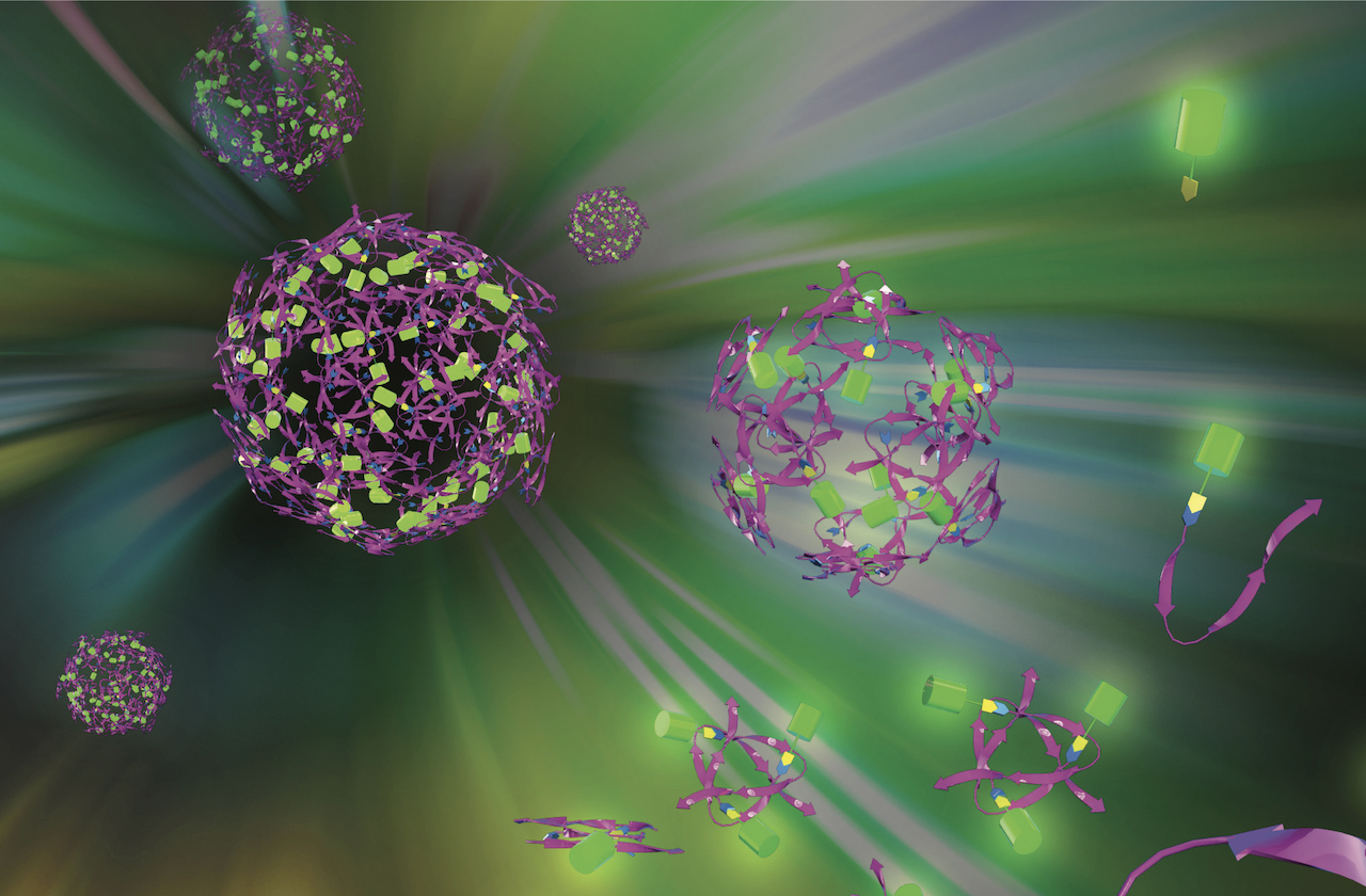 【イラスト】緑色蛍光タンパク質（GFP）を内包した人工ウイルスキャプシドができあがっていく様子