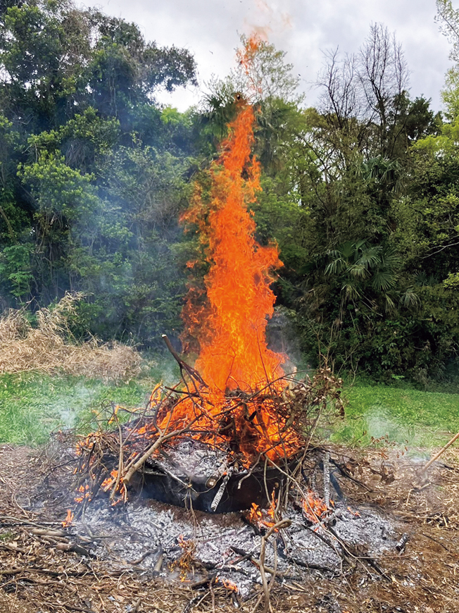 竹を燃やしている様子。周囲の竹を原料にすることで、竹林や里山の保全、農地を荒らすイノシシ対策にもつながる。