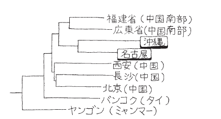 【図】マイクロサテライトDNAから見た系統樹