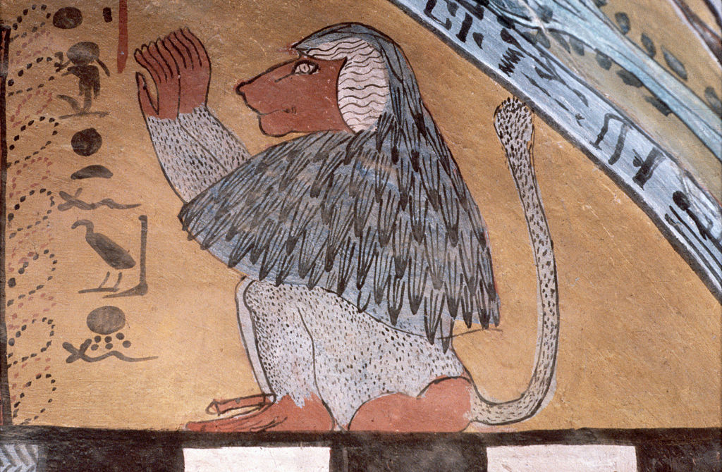【写真】古代エジプトの壁画に描かれたヒヒの絵