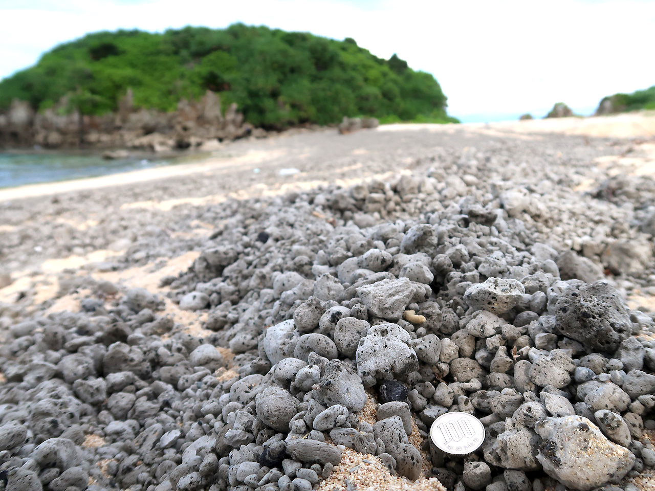 【写真】沖縄県・古宇利島に漂着した軽石