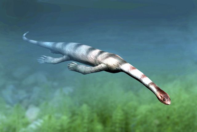 海の古生物の代表選手が「怪しい化石の代名詞」に転落した哀しい話