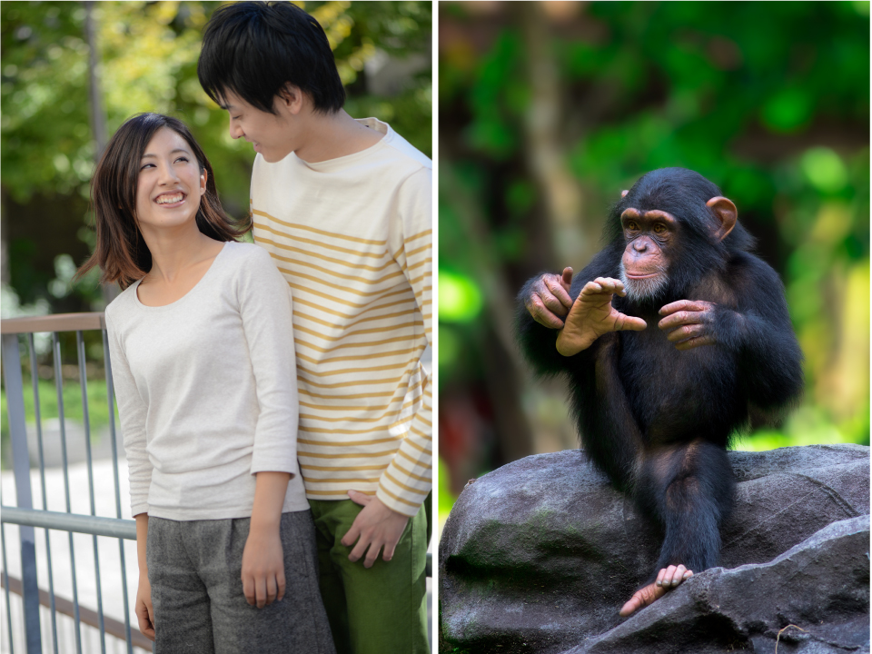 【写真】ヒトとチンパンジー