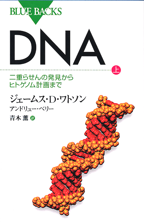 DNA上