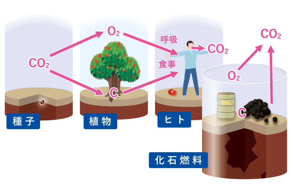 【図】大気中の二酸化炭素増加は化石燃料の燃焼による