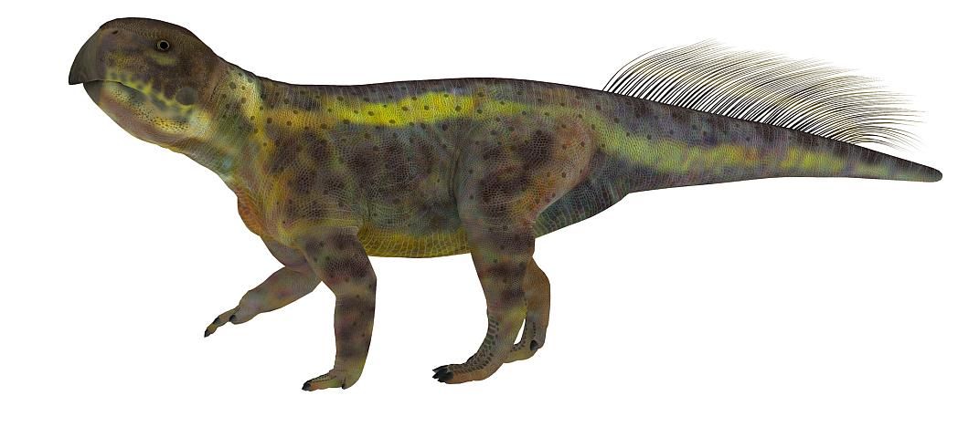 プシッタコサウルス