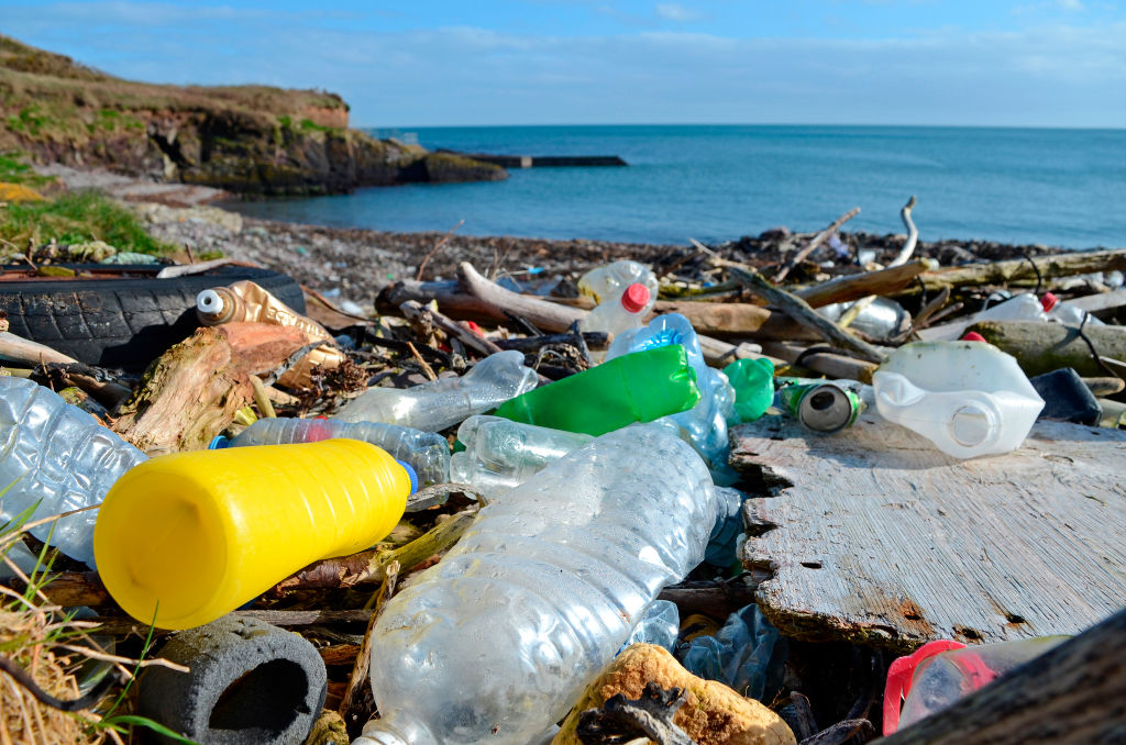 【写真】海岸に漂着したプラスチックゴミ