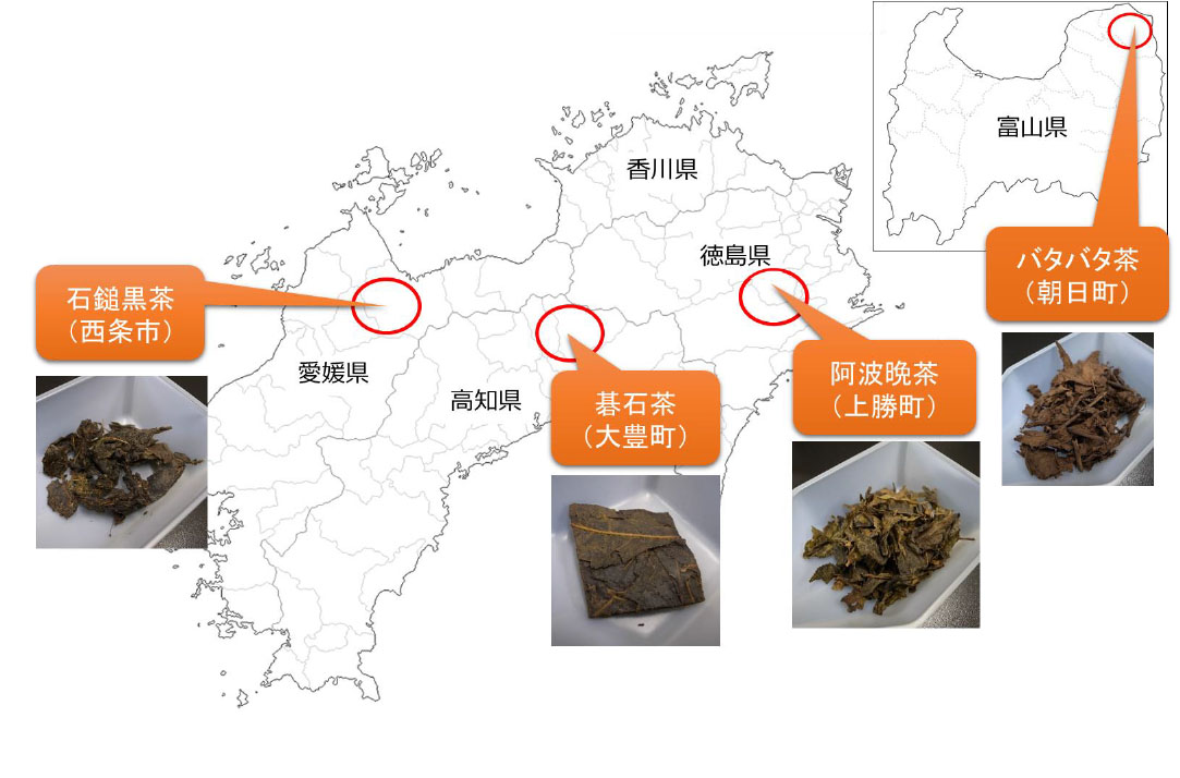 図1：世界でも数少ない後発酵茶が四国には3種類もある！