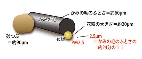 PM2.5の顕微鏡写真