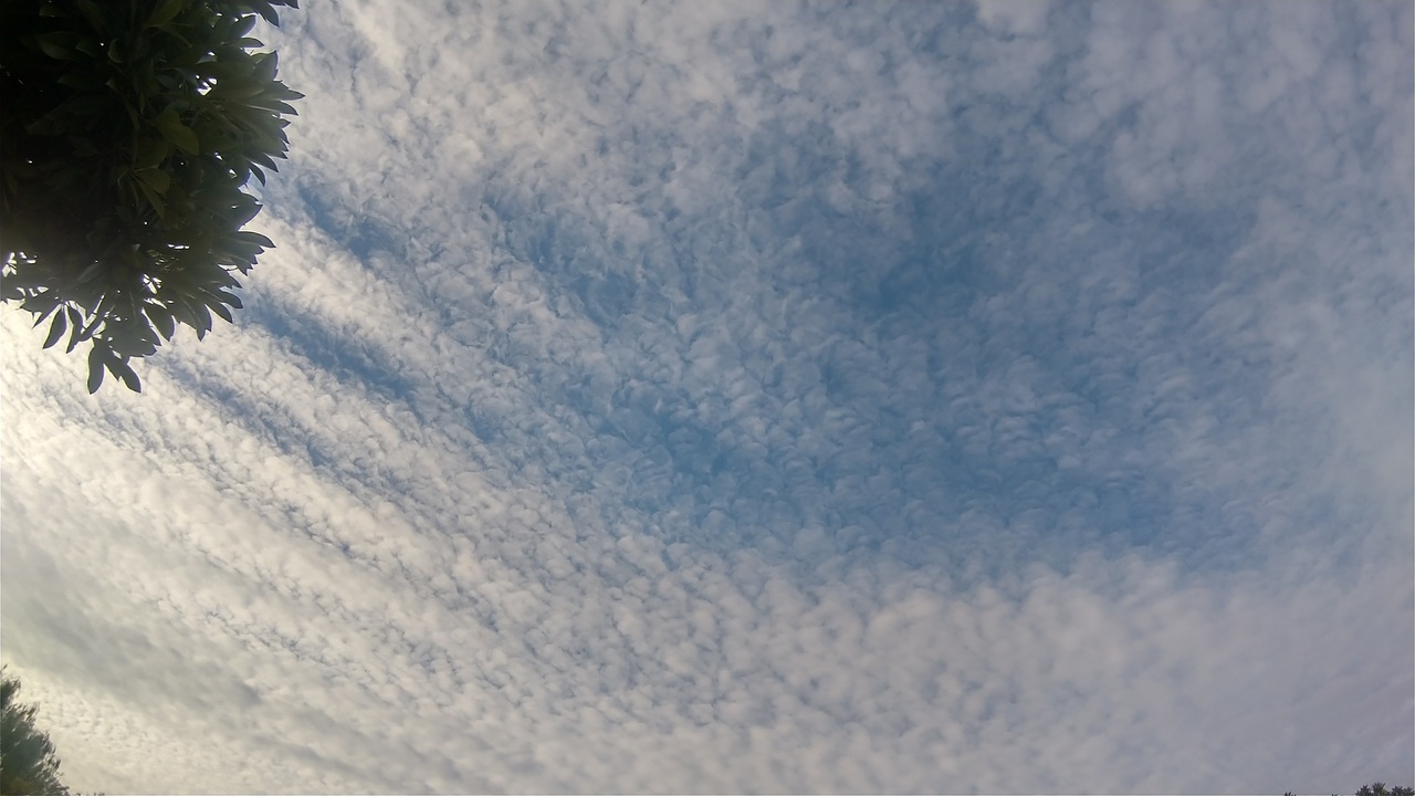 【写真】10月中旬のうろこ雲（筆者撮影）